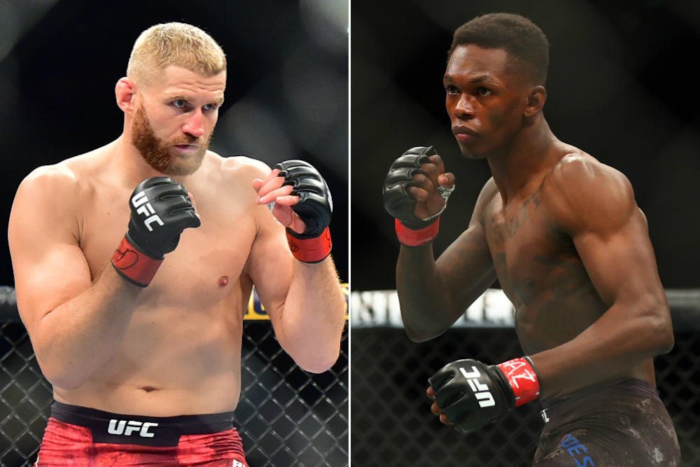 jan blachowicz israel adesanya