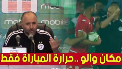 فيديو هذا ماقاله جمال بلماضي عن المشادة التي جمعته بلاعب المنتخب التونسي علي العبدي - فيديو-هذا-ماقاله-جمال-بلماضي-عن-المشاد