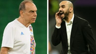 مدرب زامبيا يفاجئ المنتخب المغربي بتصريح تاريخي قبل تصفيات كأس العالم 2026 - مدرب-زامبيا-يفاجئ-المنتخب-المغربي-بتص