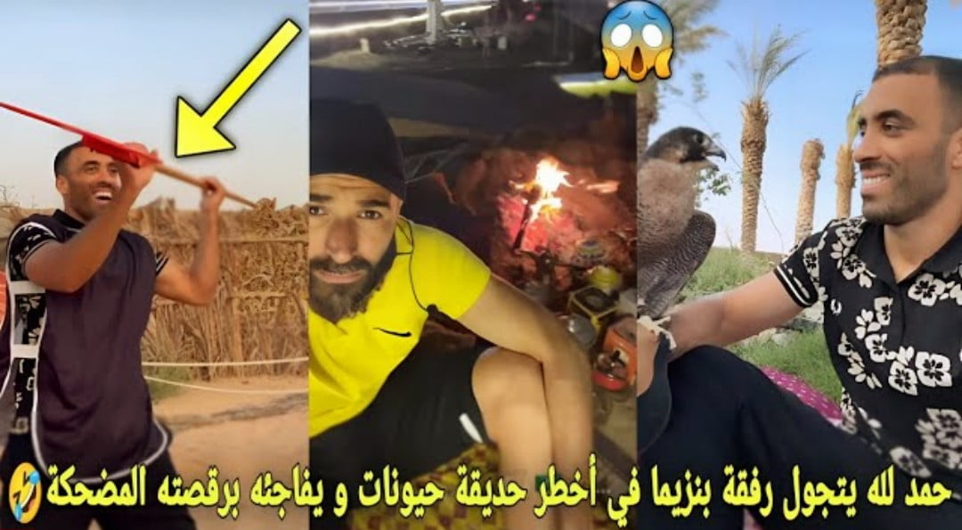 فيديو عبد الرزاق حمد الله يتجول رفقة كريم بنزيما في أخطر حديقة الحيوان بالسعودية - فيديو-عبد-الرزاق-حمد-الله-يتجول-رفقة-كر