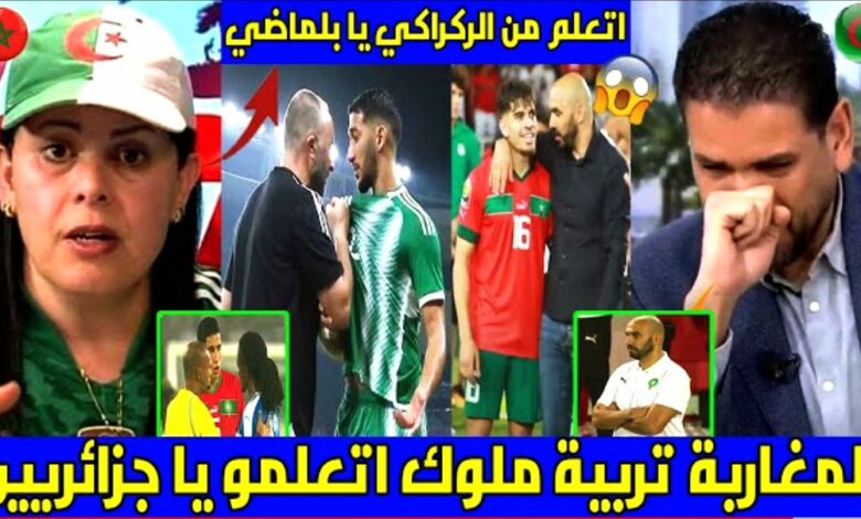 فيديو الإعلام الجزائري يقف افتخارا بأخلاق وليد الركراكي مع لاعبي المنتخب المغربي ويقارنه بجمال بلماضي - وليد الركراكي