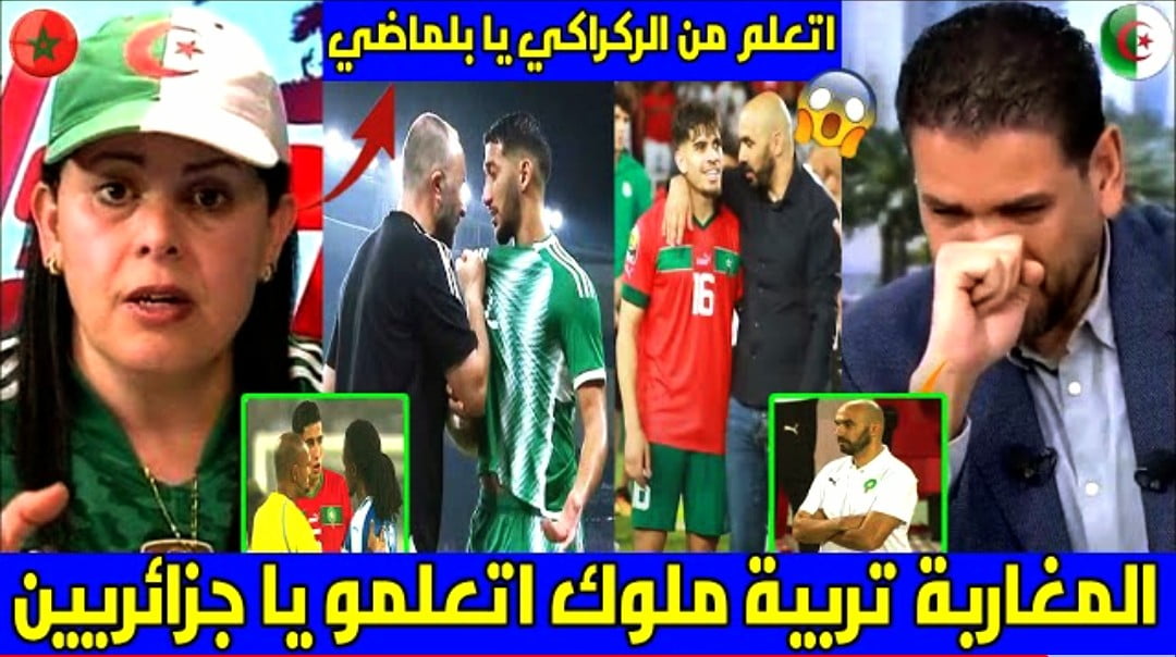 فيديو الإعلام الجزائري يقف افتخارا بأخلاق وليد الركراكي مع لاعبي المنتخب المغربي ويقارنه بجمال بلماضي - وليد الركراكي